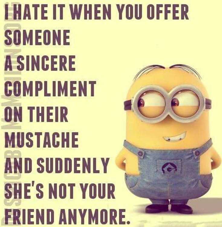 56 Minions Quotes to Reignite Your Love 12