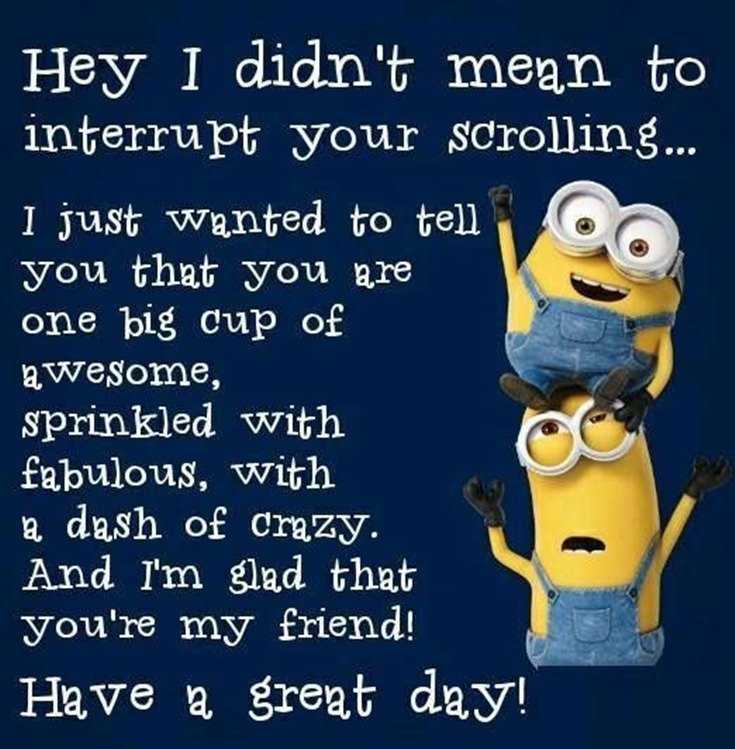 56 Minions Quotes to Reignite Your Love 13