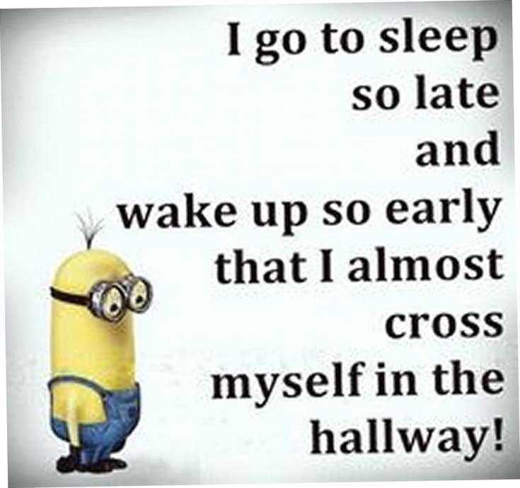 56 Minions Quotes to Reignite Your Love 27