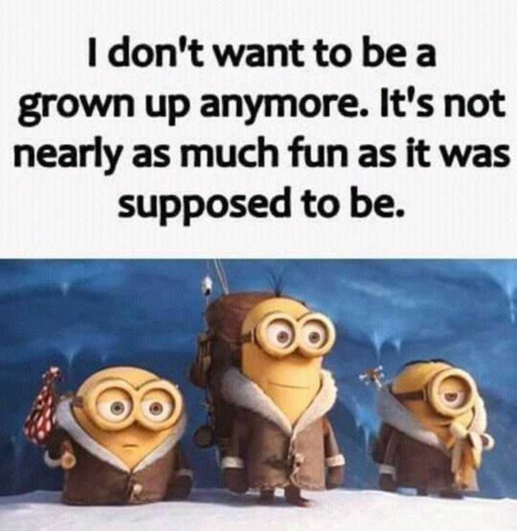 56 Minions Quotes to Reignite Your Love 42