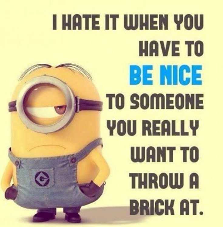 56 Minions Quotes to Reignite Your Love 44