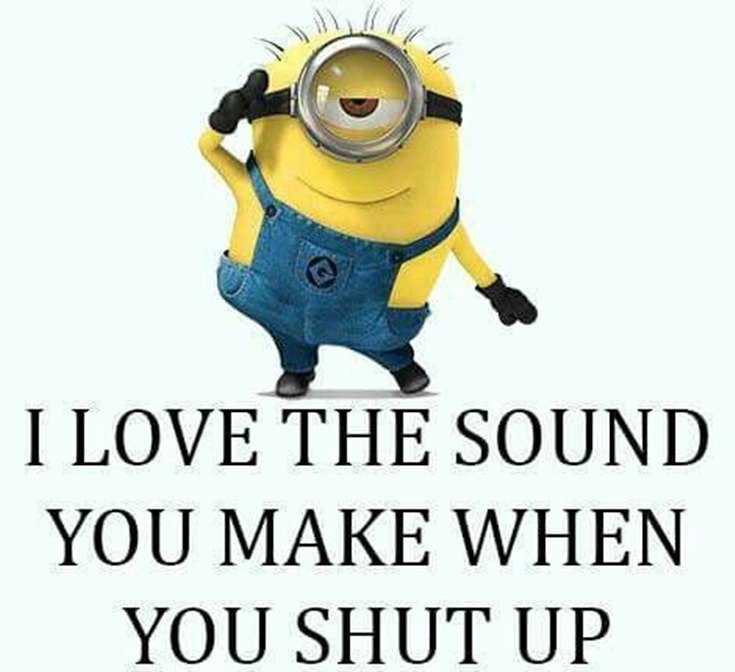 56 Minions Quotes to Reignite Your Love 46