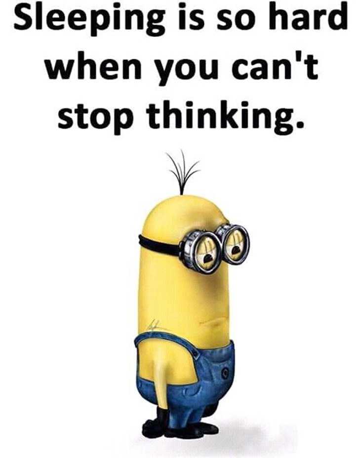 56 Minions Quotes to Reignite Your Love 49
