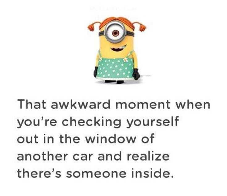 56 Minions Quotes to Reignite Your Love 6