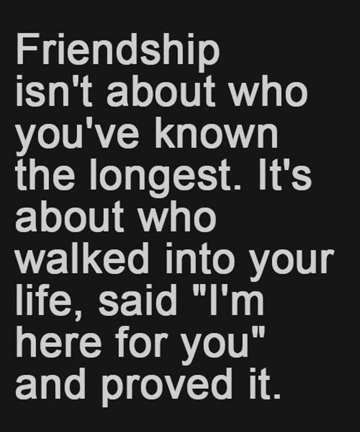 57 Best Friendship Quotes to Enriched Your Life 055