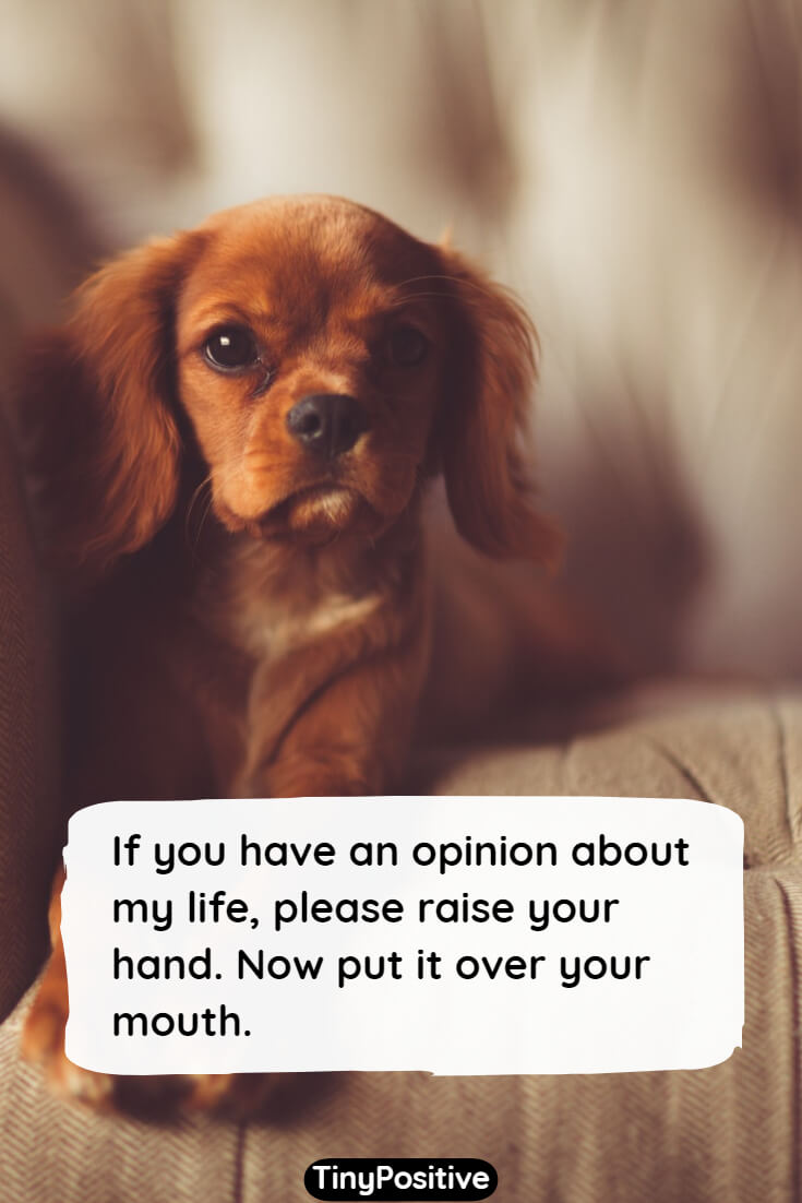Captions Laugh Funny Quotes Short Bmp place very-true-funny-quotes-jokes-quotes-witty-quotes