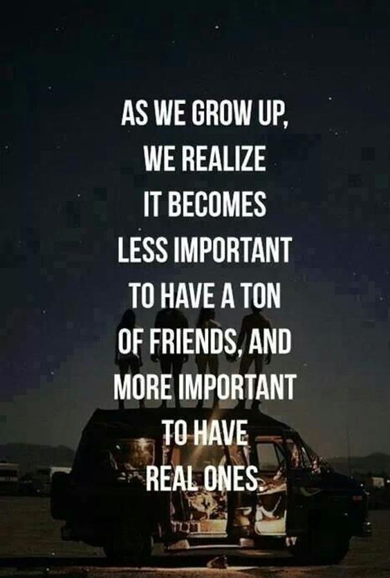 117 Best Friendship Quotes Short Quotes About True Friends 2