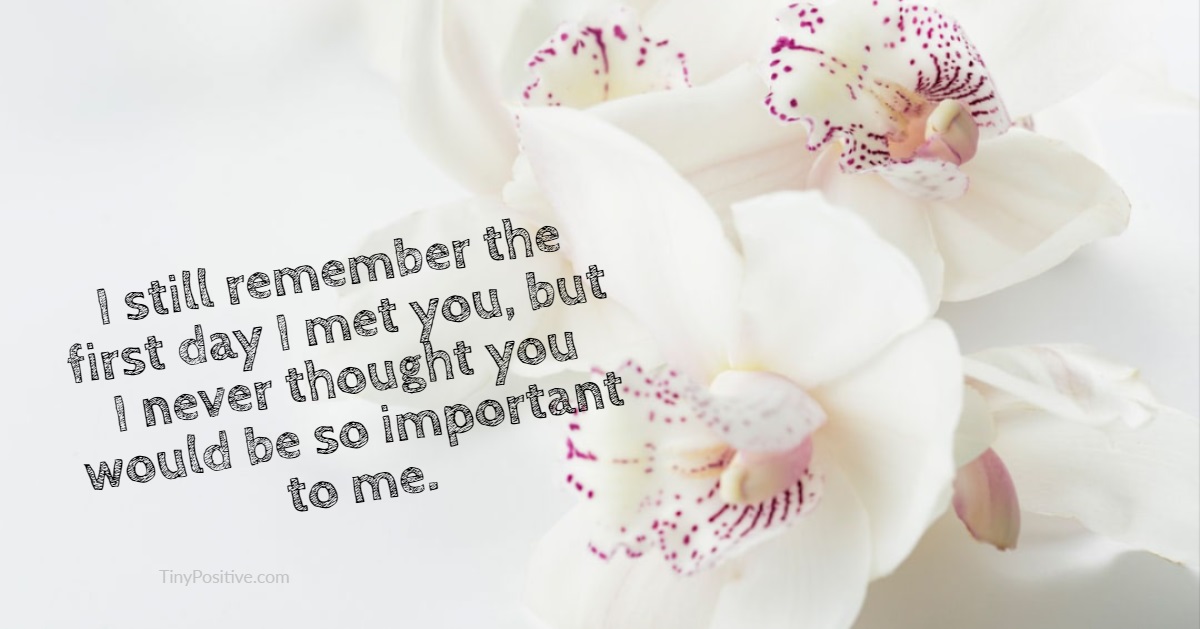 60 Sad Quotes Life Quotes About Love 