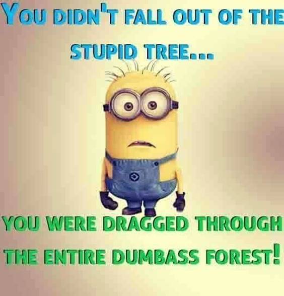 45 Funny Jokes Minions Quotes With Minions funny jokes captions random funny thoughts of the day