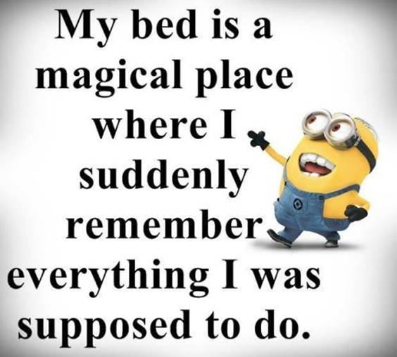 45 Funny Jokes Minions Quotes With Minions cool funny quotes about life