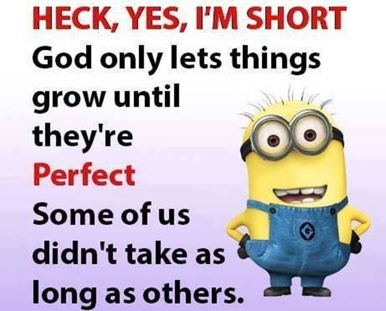 45 Funny Jokes Minions Quotes With Minions 41