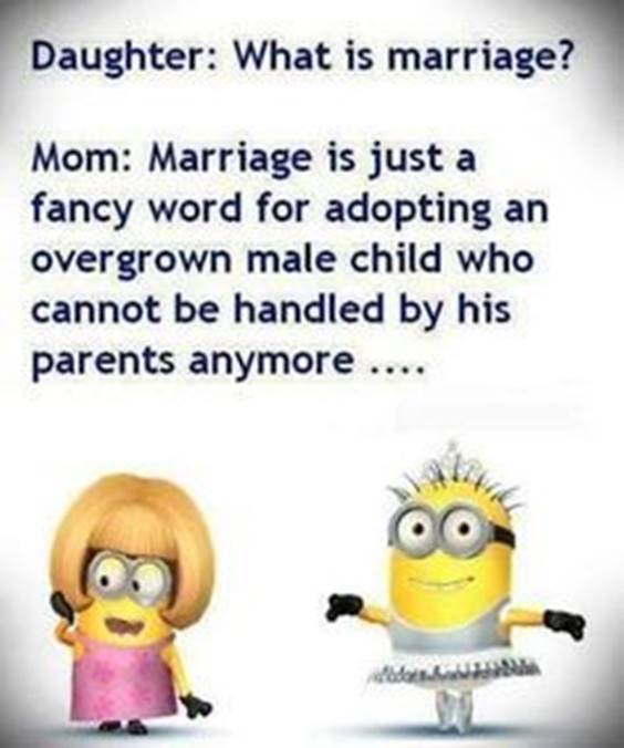 45 Funny Jokes Minions Quotes With Minions 5