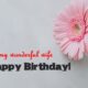 Birthday Wishes for Wife Birthday Quotes and Messages