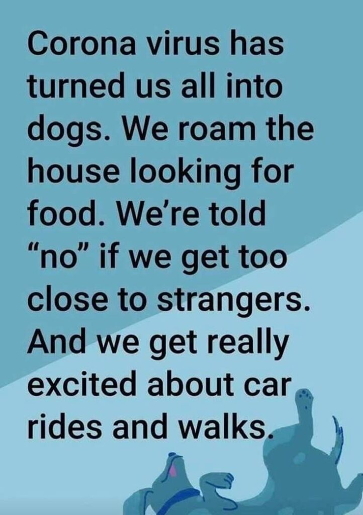 45 Of The Best Funny Quotes Ever – Tiny Positive