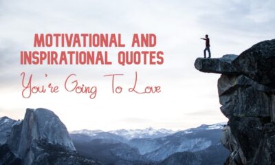 Motivational And Inspirational Quotes Youre Going To Love