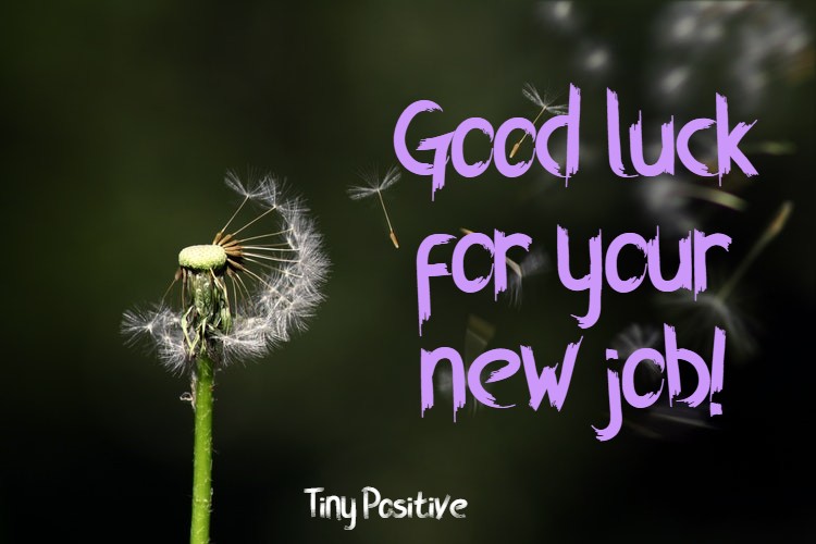 165 Best Wishes for New Job – Congratulations Messages Quotes Messages | best wishes for new job to girlfriend, funny new job wishes, inspiring new job messages
