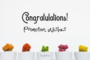 165 How to Write: Promotion Wishes – Congratulations Messages on ...
