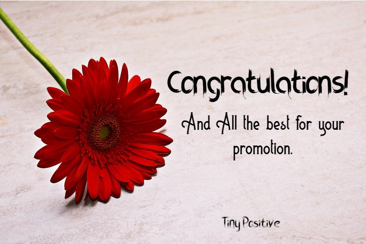 Congratulations Wishes On Promotion – Simple Congratulations Messages Quotes 3
