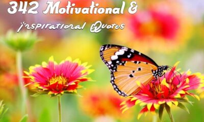 motivational inspirational quotes for success life