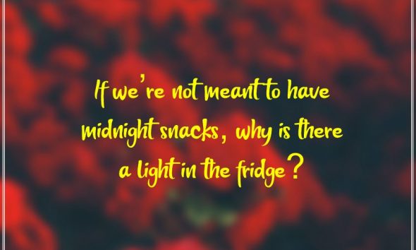 funny instagram captions