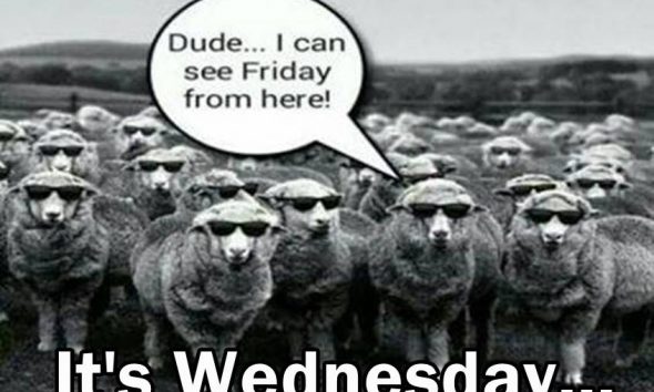 funny wednesday memes