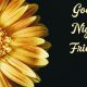 Good Night Messages For Friends Images with Pictures for Goodnight