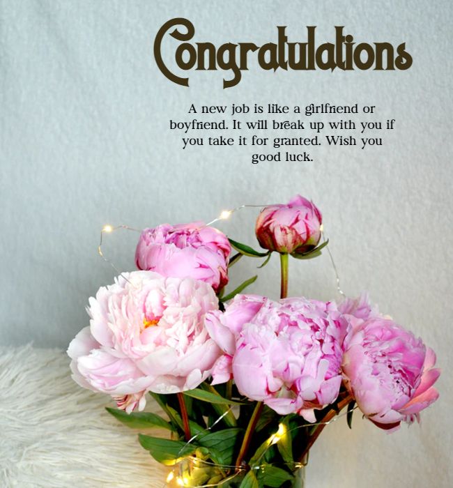 115 Funny New Job Wishes Messages - What to Write in a Congratulations Card  – Tiny Positive