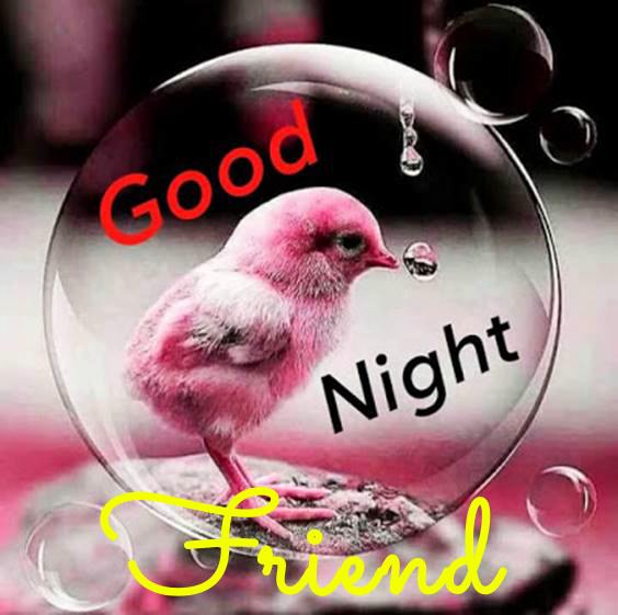 good night greetings for him