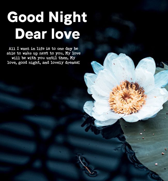 romantic good night wishes 1