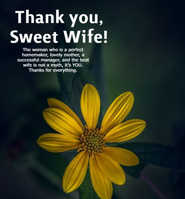 wife appreciation quotes