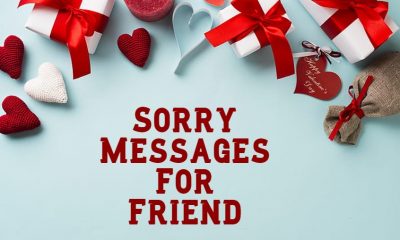Heartfelt Im Sorry Messages For Friends – Deep Sincere Apologies