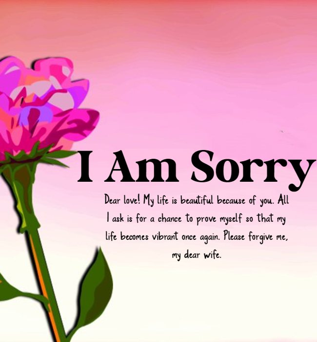 i m sorry paragraphs for wife