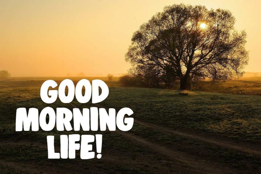 Beautiful Good Morning Life Images Quotes And Good Thoughts