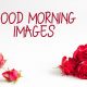 New Good Morning Images With Quotes wishes Pictures And Good Thoughts