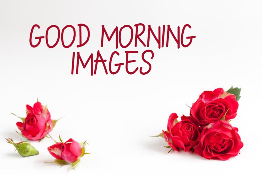 New Good Morning Images With Quotes wishes Pictures And Good Thoughts
