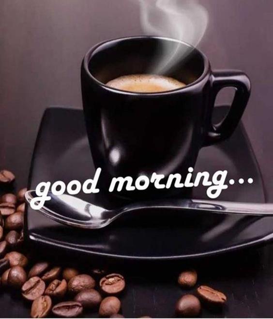 good morning live image Amazing Good Morning Images With Messages Pictures And Fabulous Positive Thoughts