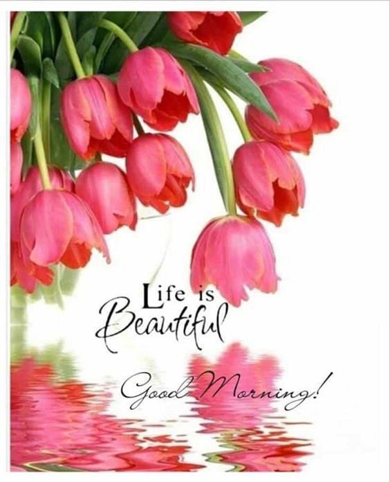 good morning live images Amazing Good Morning Images With Messages Pictures And Fabulous Positive Thoughts
