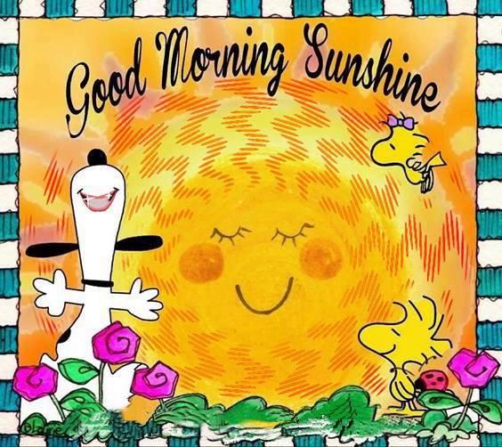 have a beautiful day image Amazing Good Morning Images With Messages Pictures And Fabulous Positive Thoughts