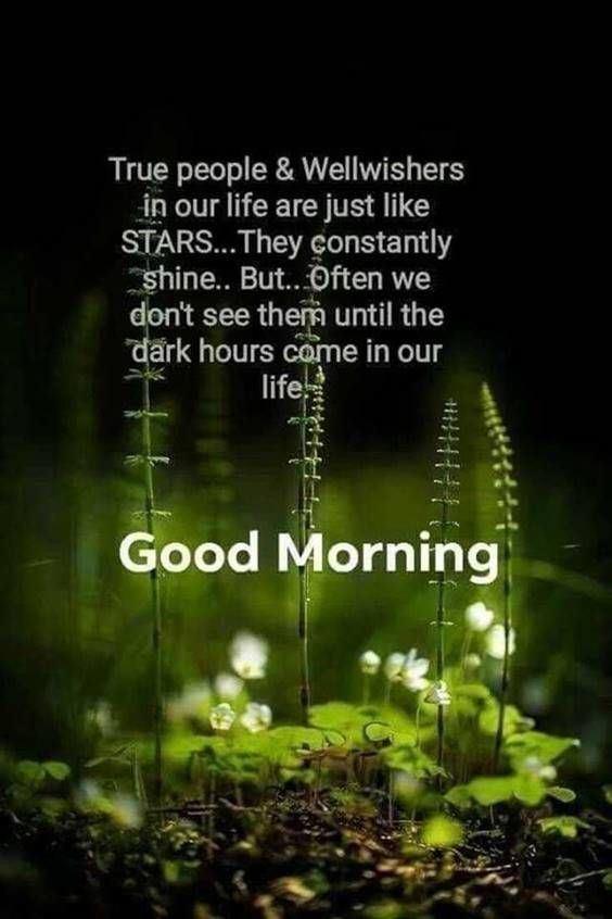 morning pic image Amazing Good Morning Images With Messages Pictures And Fabulous Positive Thoughts