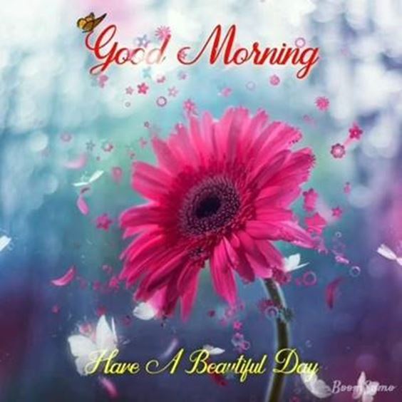 picture of the morning Special Good Morning Images With Quotes wishes Pictures And Good Thoughts