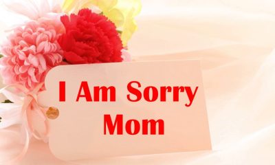Im Sorry Quotes for Mom When You Cant Find the Right Words