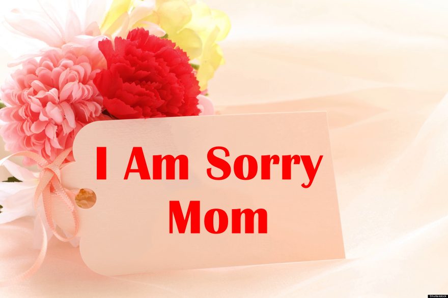 Im Sorry Quotes for Mom When You Cant Find the Right Words