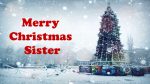Merry Christmas Sister Quotes Xmas Wishes And Messages