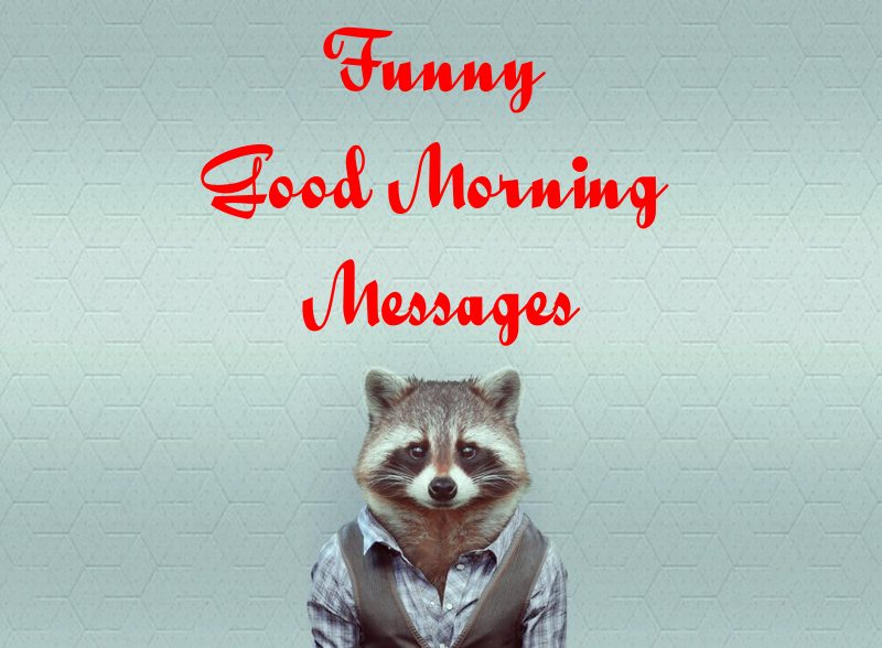 45 Best Funny Good Morning Messages - Funny Images To Make Laugh – Tiny  Positive