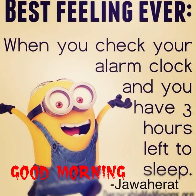 funny quotes about waking up good morning funny