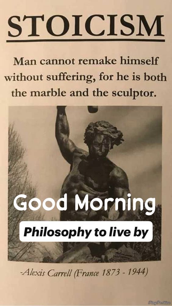 wonderful good morning note wisest man quotes - good morning wise quotes | good morning with inspirational quotes wisdom about life