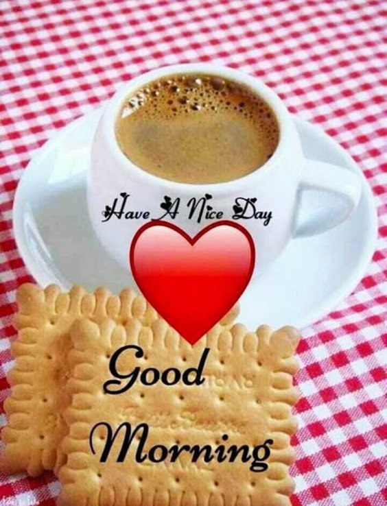 50 good morning darling romantic good morning message and good morning sms for her