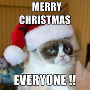 115 Funny Merry Christmas Memes Ideas And Merry Christmas With Images ...