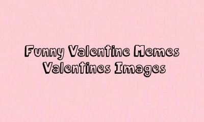 Funny Valentine Memes Valentines Images