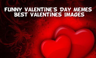 Funny Valentines Day Memes Best Valentines Images